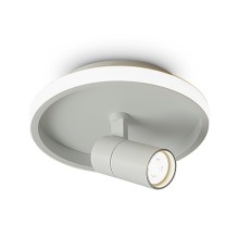 Потолочный светильник Freya FR6040CL-L14W