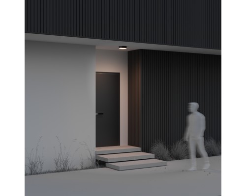 Потолочный светильник Outdoor O431CL-L30B3K