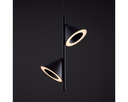 Подвесной светильник Freya FR6141PL-L14B