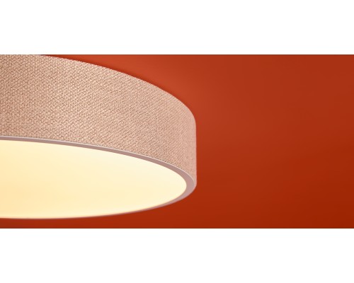 Потолочный светильник Freya FR5555CL-L30BGG