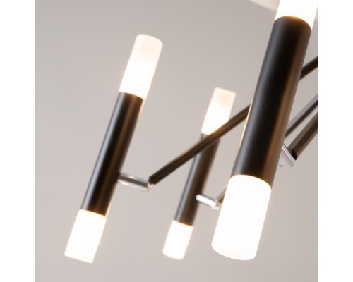 Потолочный светильник Maytoni MOD620CL-16B