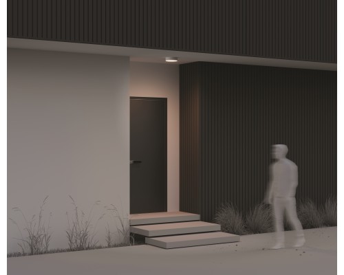 Потолочный светильник Outdoor O431CL-L30W3K