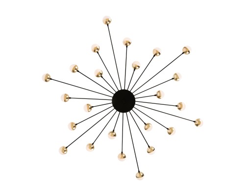 Потолочный светильник Freya FR5242CL-24B