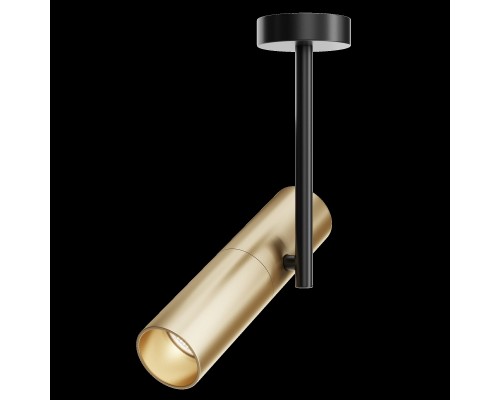 Потолочный светильник Technical C020CL-01GB