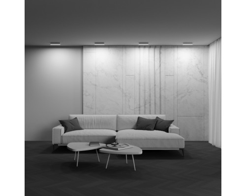 Потолочный светильник Technical C068CL-20W3-6K-W