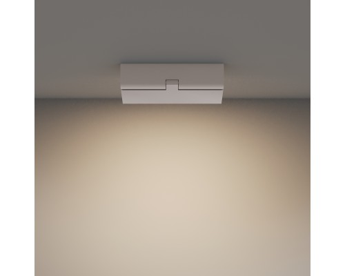 Потолочный светильник Technical C133CL-12W3K-W