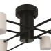 Потолочный светильник Freya FR6048CL-L8B