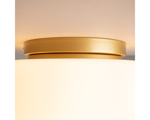 Потолочный светильник Maytoni MOD270CL-01G