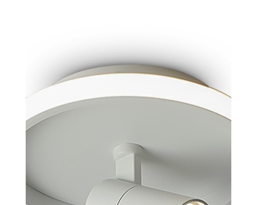 Потолочный светильник Freya FR6040CL-L14W