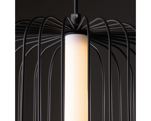 Подвесной светильник Freya FR6131PL-L13B