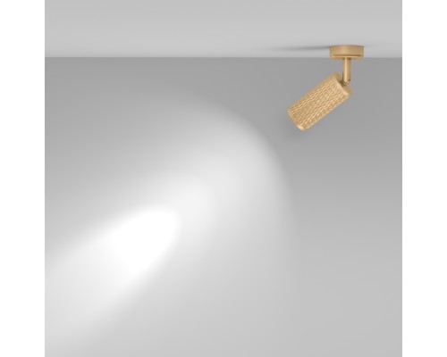 Потолочный светильник Technical C034CL-01G