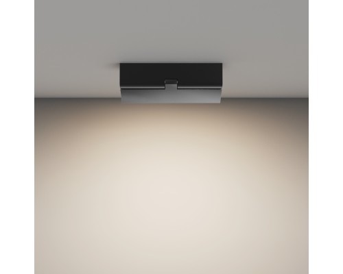 Потолочный светильник Technical C133CL-12W4K-B