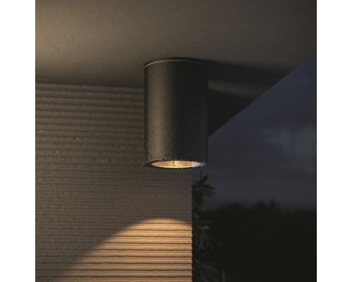 Потолочный светильник Outdoor O307CL-01B