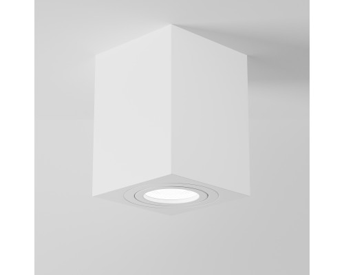 Потолочный светильник Technical C017CL-01W