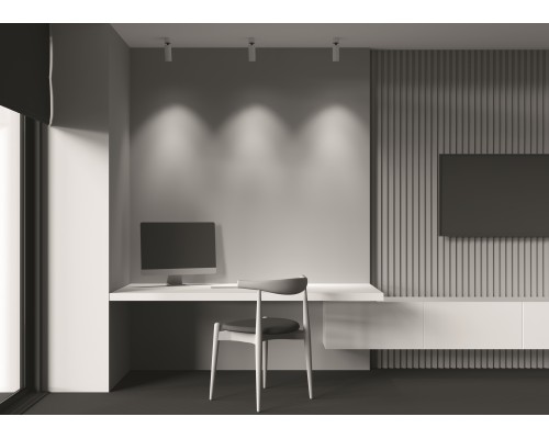 Потолочный светильник Technical C055CL-L12W4K-W-W