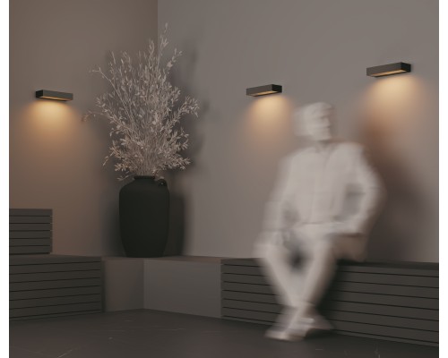 Настенный светильник (бра) Outdoor O428WL-L10GF3K