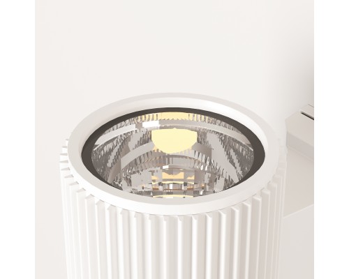 Настенный светильник (бра) Outdoor O419WL-01W