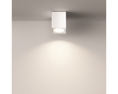 Потолочный светильник Technical C030CL-01W