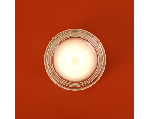 Настенный светильник (бра) Freya FR5603WL-L8TR