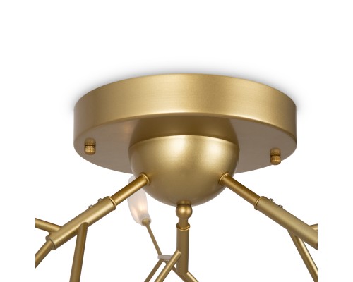 Потолочный светильник Freya FR5049CL-27G