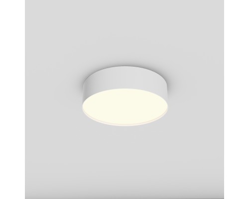 Потолочный светильник Technical C032CL-24W3K-RD-W