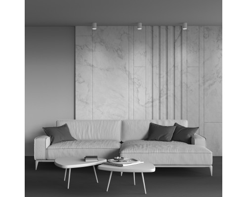 Потолочный светильник Technical C014CL-01W