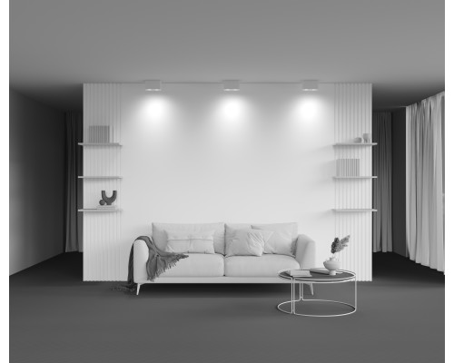 Потолочный светильник Technical C017CL-02W