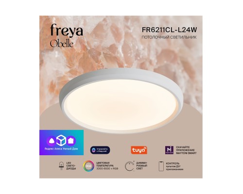 Потолочный светильник Freya FR6211CL-L24W