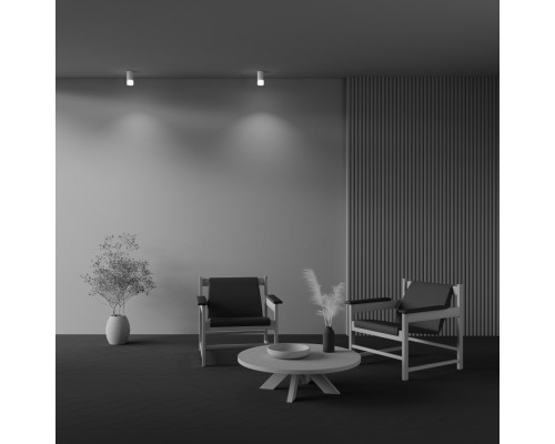 Потолочный светильник Technical C007CW-01W