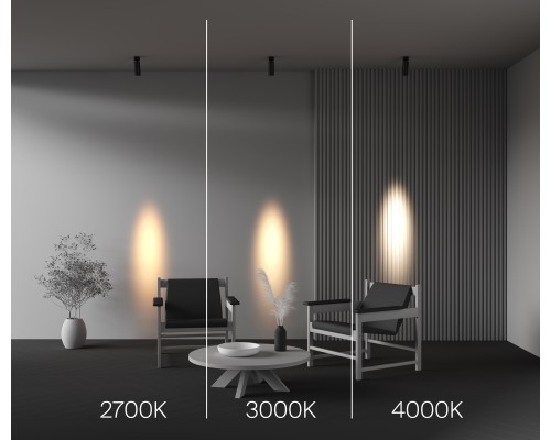 Потолочный светильник Technical C055CL-L12W3K-SS-B