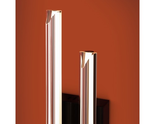 Настенный светильник (бра) Freya FR5557WL-L11B