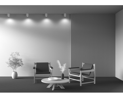 Потолочный светильник Technical C016CL-01W