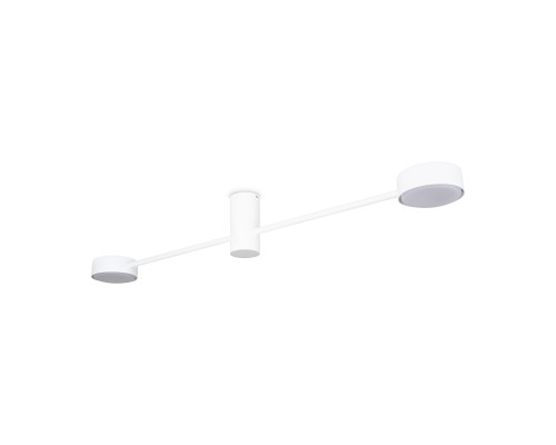 Потолочный светильник Freya FR5363CL-02W1