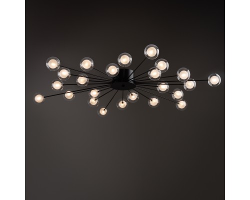 Потолочный светильник Freya FR5242CL-24B1