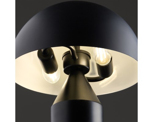 Настольный светильник Freya FR5218TL-02B1