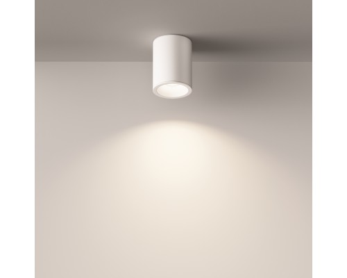 Потолочный светильник Technical C029CL-01W