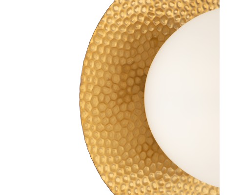 Настенный светильник (бра) Freya FR5202WL-01BS