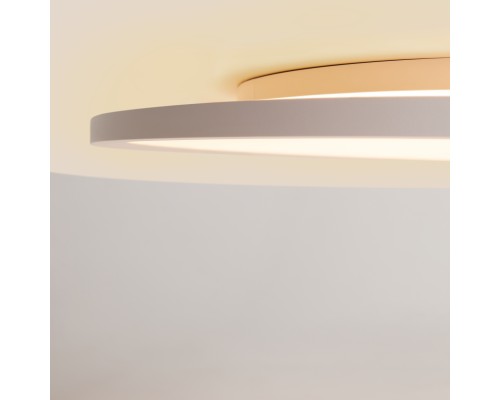 Потолочный светильник Maytoni MOD426CL-L74WK