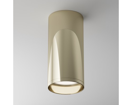 Потолочный светильник Technical C010CL-01G