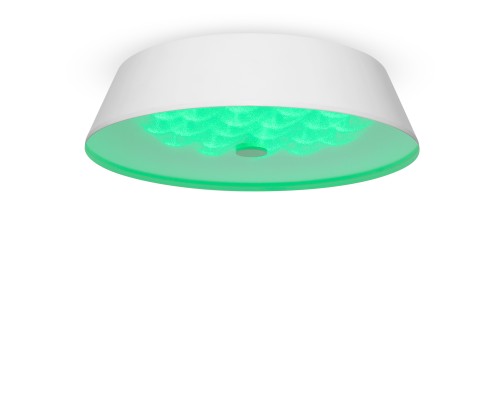 Потолочный светильник Freya FR10013CL-L24W