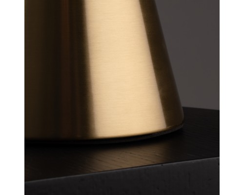 Настольный светильник Freya FR5289TL-01BS