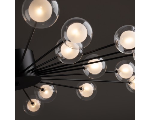 Потолочный светильник Freya FR5242CL-24B1