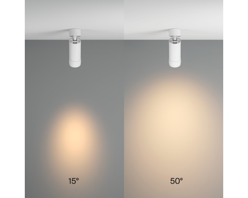 Потолочный светильник Technical C055CL-L12W3K-Z-W