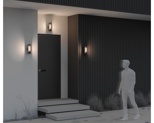 Настенный светильник (бра) Outdoor O451WL-01GF