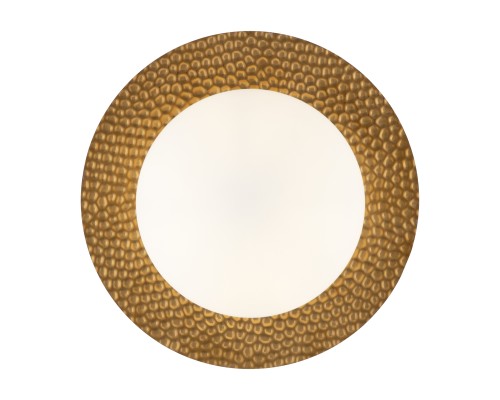 Настенный светильник (бра) Freya FR5202WL-01BS