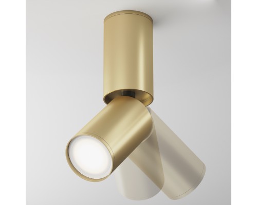 Потолочный светильник Technical C051CL-01G