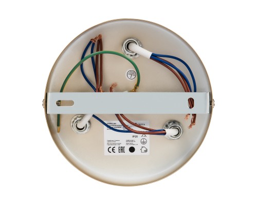 Потолочный светильник Freya FR5095CL-06G