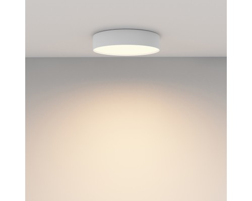 Потолочный светильник Technical C032CL-36W3K-RD-W