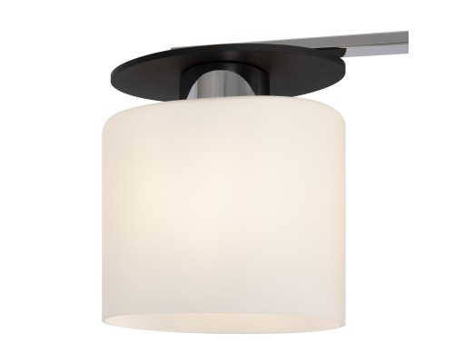 Потолочная люстра Freya FR5101-CL-03-CN Bice хром