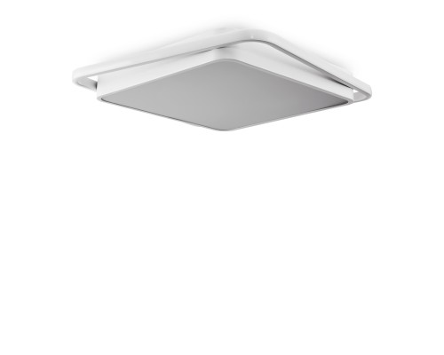 Потолочный светильник Freya FR10030CL-L88W